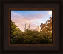 Load image into Gallery viewer, Washington DC Sunset Panorama