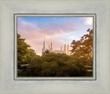 Load image into Gallery viewer, Washington DC Sunset Panorama