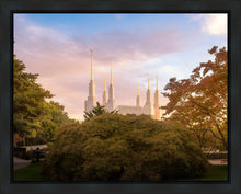 Load image into Gallery viewer, Washington DC Sunset Panorama