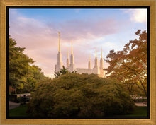 Load image into Gallery viewer, Washington DC Sunset Panorama