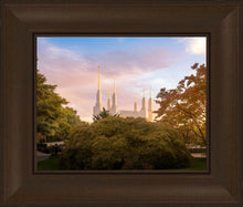 Load image into Gallery viewer, Washington DC Sunset Panorama