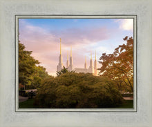 Load image into Gallery viewer, Washington DC Sunset Panorama