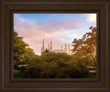 Load image into Gallery viewer, Washington DC Sunset Panorama