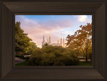 Load image into Gallery viewer, Washington DC Sunset Panorama