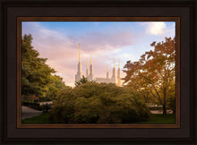 Load image into Gallery viewer, Washington DC Sunset Panorama