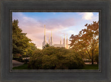 Load image into Gallery viewer, Washington DC Sunset Panorama
