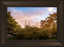 Load image into Gallery viewer, Washington DC Sunset Panorama