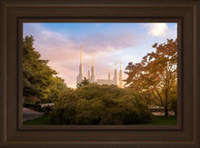 Load image into Gallery viewer, Washington DC Sunset Panorama