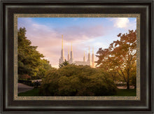 Load image into Gallery viewer, Washington DC Sunset Panorama