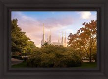 Load image into Gallery viewer, Washington DC Sunset Panorama