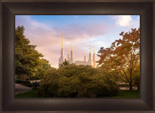Load image into Gallery viewer, Washington DC Sunset Panorama