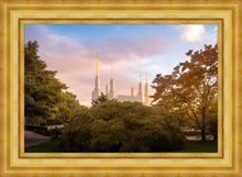 Load image into Gallery viewer, Washington DC Sunset Panorama