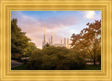 Load image into Gallery viewer, Washington DC Sunset Panorama