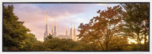 Load image into Gallery viewer, Washington DC Sunset Panorama