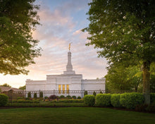 Load image into Gallery viewer, Nashville Trees