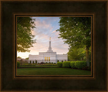 Load image into Gallery viewer, Nashville Trees