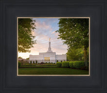 Load image into Gallery viewer, Nashville Trees