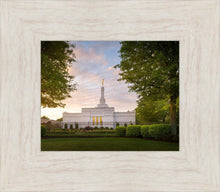 Load image into Gallery viewer, Nashville Trees