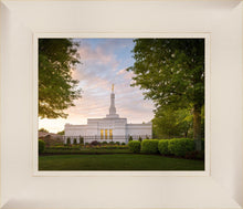 Load image into Gallery viewer, Nashville Trees