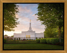 Load image into Gallery viewer, Nashville Trees