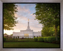 Load image into Gallery viewer, Nashville Trees