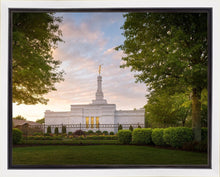 Load image into Gallery viewer, Nashville Trees