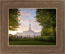 Load image into Gallery viewer, Nashville Trees