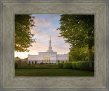 Load image into Gallery viewer, Nashville Trees