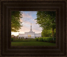 Load image into Gallery viewer, Nashville Trees