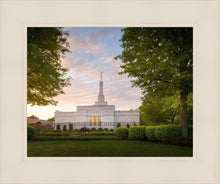 Load image into Gallery viewer, Nashville Trees