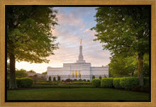 Load image into Gallery viewer, Nashville Trees