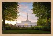 Load image into Gallery viewer, Nashville Trees