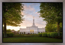 Load image into Gallery viewer, Nashville Trees