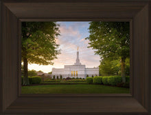 Load image into Gallery viewer, Nashville Trees