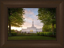 Load image into Gallery viewer, Nashville Trees