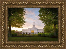 Load image into Gallery viewer, Nashville Trees