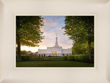 Load image into Gallery viewer, Nashville Trees