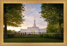 Load image into Gallery viewer, Nashville Trees
