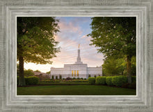 Load image into Gallery viewer, Nashville Trees