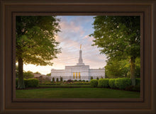 Load image into Gallery viewer, Nashville Trees