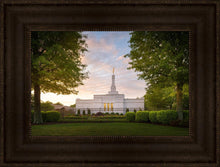 Load image into Gallery viewer, Nashville Trees