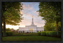 Load image into Gallery viewer, Nashville Trees