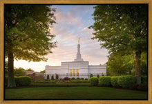 Load image into Gallery viewer, Nashville Trees