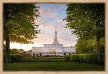 Load image into Gallery viewer, Nashville Trees