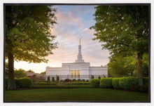 Load image into Gallery viewer, Nashville Trees