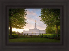 Load image into Gallery viewer, Nashville Trees