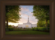 Load image into Gallery viewer, Nashville Trees