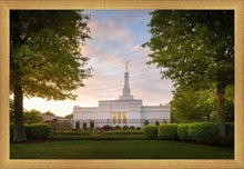 Load image into Gallery viewer, Nashville Trees