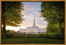 Load image into Gallery viewer, Nashville Trees