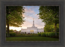 Load image into Gallery viewer, Nashville Trees